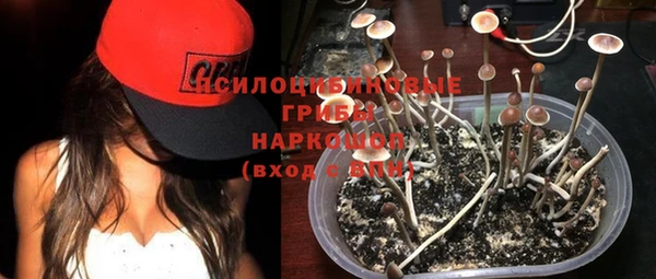 эйфоретик Красноперекопск