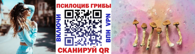 Галлюциногенные грибы мухоморы  Купить  Новосиль 