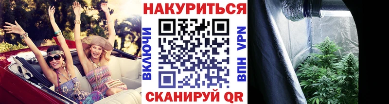 Шишки марихуана сатива  Купить  Новосиль 